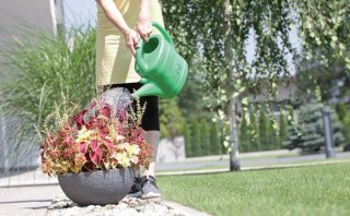 KONEWKA PLASTIKOWA 3L SPRING - ZIELONY